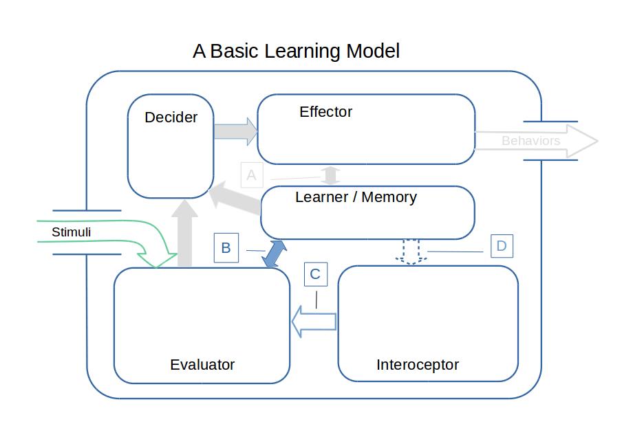 A Basic Learning Model