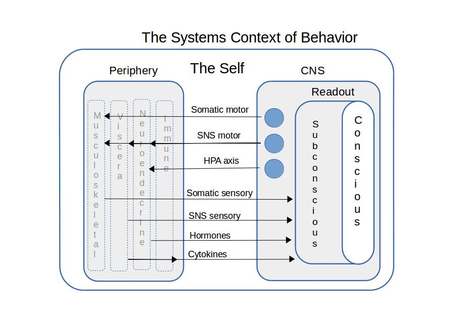 The Systems Context of Behavior